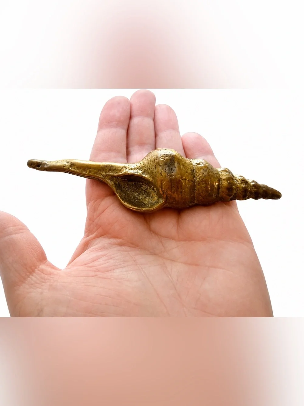 Brass Cottage Core Decorative Shell Home Accent